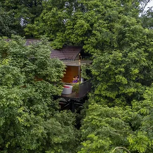 Crystal Kuruva Nature & Resort Wayanad